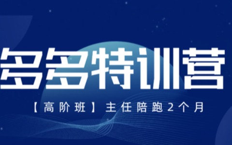 2025發寶電商紀主任多多特訓營高階班